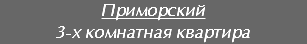 Приморский
3-х комнатная квартира