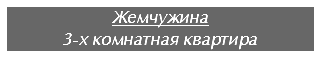 Жемчужина
3-х комнатная квартира