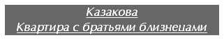 Казакова
Квартира с братьями близнецами
